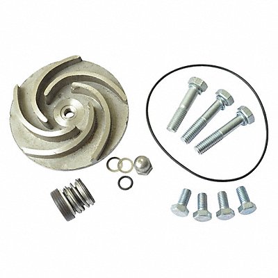 DAYTON 21TG73 Pump Repair Kit For 2ZWX1 2ZWX2