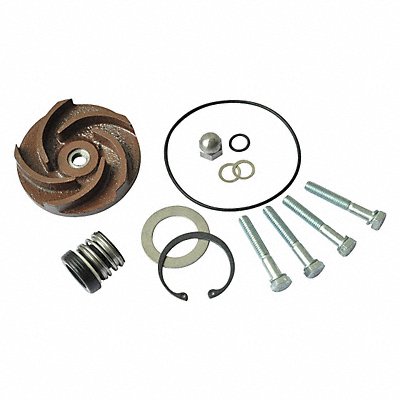 DAYTON 21TG75 Pump Repair Kit For 2ZWX3A