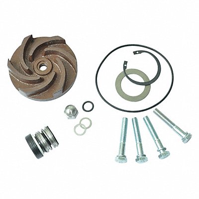 DAYTON 21TG76 Pump Repair Kit For 2ZWX4A