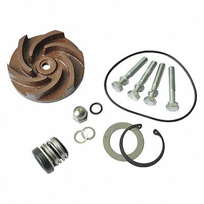 DAYTON 21TG77 Pump Repair Kit For 2ZWX5A