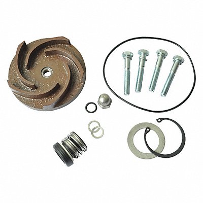 DAYTON 21TG78 Pump Repair Kit For 2ZWX6A