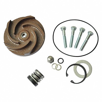 DAYTON 21TG79 Pump Repair Kit For 2ZWX7A