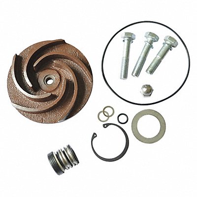 DAYTON 21TG80 Pump Repair Kit For 2ZWX8A