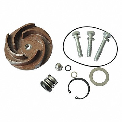 DAYTON 21TG81 Pump Repair Kit For 2ZWX9A