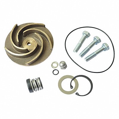 DAYTON 21TG87 Pump Repair Kit For 2ZWY6A