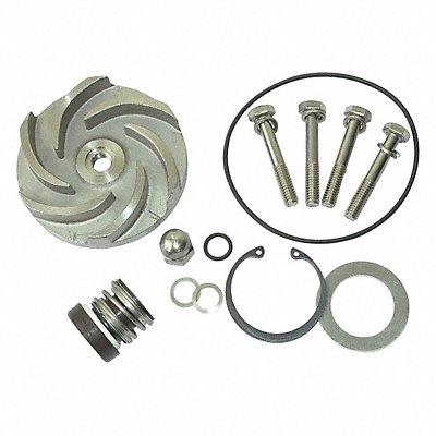 DAYTON 21TG89 Pump Repair Kit For 2ZWY8A