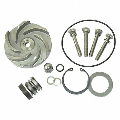 DAYTON 21TG90 Pump Repair Kit For 2ZWY9A
