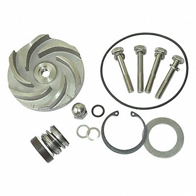 DAYTON 21TG92 Pump Repair Kit For 2ZWZ2A