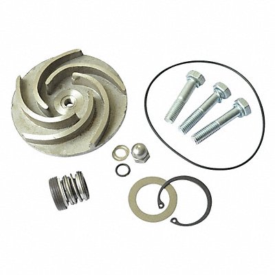 DAYTON 21TG94 Pump Repair Kit For 2ZWZ4A