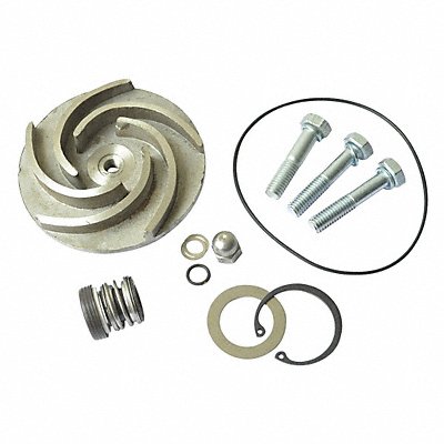DAYTON 21TG95 Pump Repair Kit For 2ZWZ5A