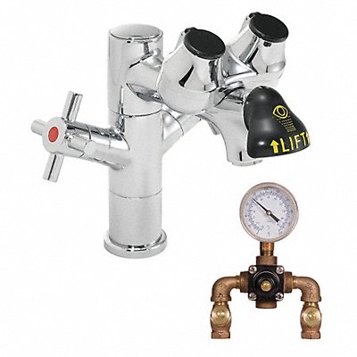SPEAKMAN SEF1850TW Eye/Face Wash Station Counter Chrome