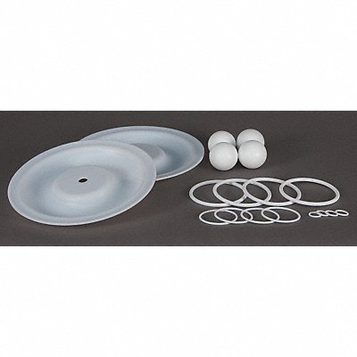 DAYTON 22A612 Pump Repair Kit PTFE For 3HJW4 3HJW4A