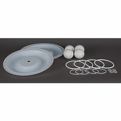 DAYTON 22A615 Pump Repair Kit PTFE For 3HJW4 3HJW4A