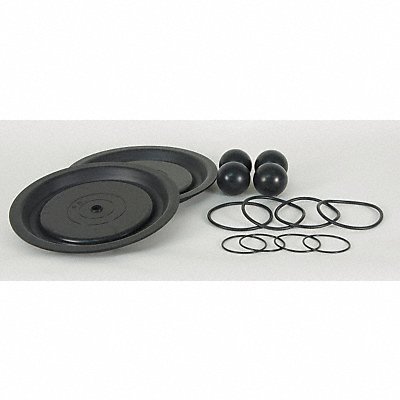 DAYTON 22A616 Pump Repair Kit TPV For 3HJW6 3HJW6A
