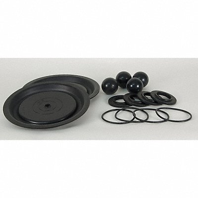 DAYTON 22A617 Pump Repair Kit TPV For 22A599 34TJ46