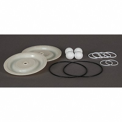 DAYTON 22A623 Pump Repair Kit Hytrel For 22A606