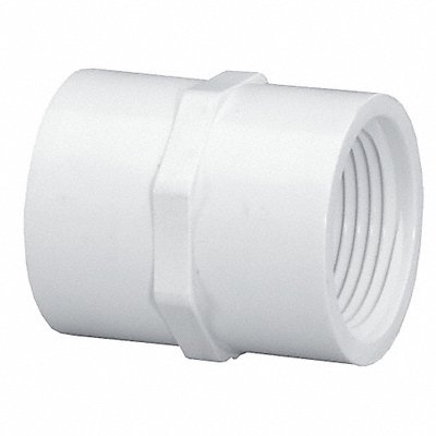 GRAINGER 430020 Coupling 2 in Schedule 40 FNPT White