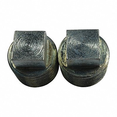 DAYTON PP60156G Npt Pipe Plug 3/4 in PK2