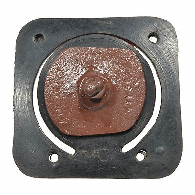 DAYTON PP60370G Check Valve Assembly
