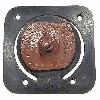 DAYTON PP60371G Check Valve Assembly