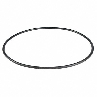 DAYTON PP60074G O-Ring Buna-N