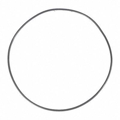 DAYTON PP60081G O-Ring Buna-N