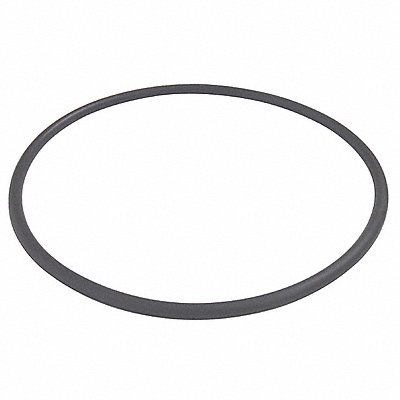 DAYTON PP21102000001G Trap O-Ring