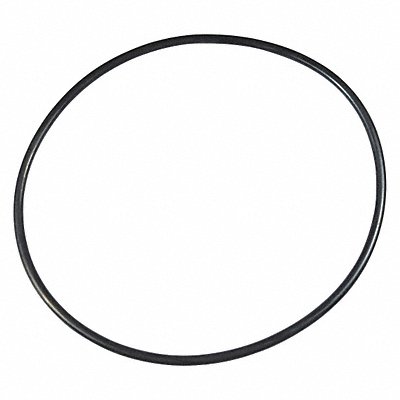 DAYTON PP21101640009G Ss Pump O-Ring