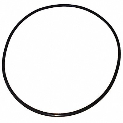 DAYTON PP21101530001G Ss Pump O-Ring
