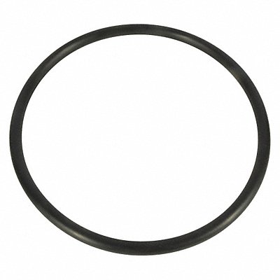 DAYTON PP21101000001G Trap Lid O-Ring