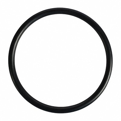 DAYTON PP2110500001G Union O-Ring PK2