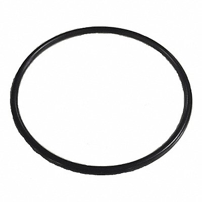 DAYTON PP02011034G O-Ring for Lid