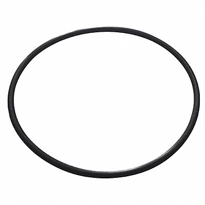 DAYTON PP21101046001G Pump Body O-Ring