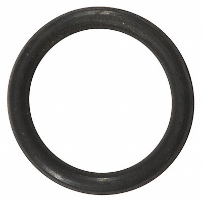 DAYTON PP60071G O-Ring Viton