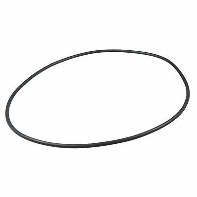 DAYTON PP60077G O-Ring Viton