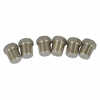 DAYTON PP60151G Pipe Plug SS 316 1/8 Npt SS