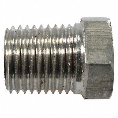 DAYTON PP60154G Pipe Plug SS316 1/4 Npt SS PK2