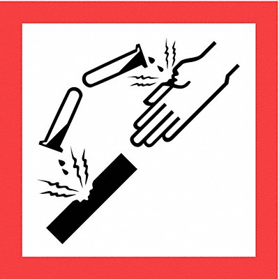 GHS SAFETY GHS1269 Pictogram Sign 10-3/4 W
