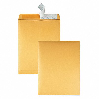 QUALITY PARK QUA44762 Catalog Envelopes 10 H 13 W PK100