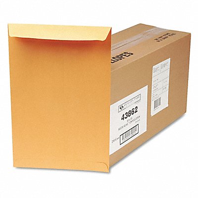 QUALITY PARK QUA43862 Catalog Envelopes 10 H 15 W PK250