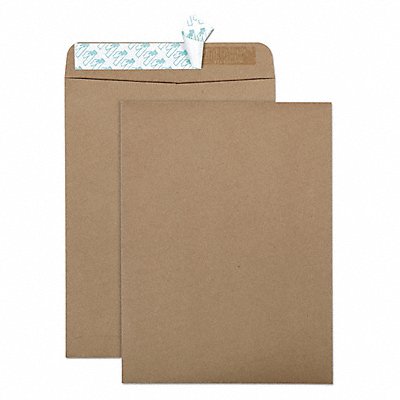 QUALITY PARK QUA44511 Catalog Envelopes 9 H 12 W PK100