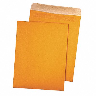 QUALITY PARK QUA43511 Catalog Envelopes 9 H 12 W PK100