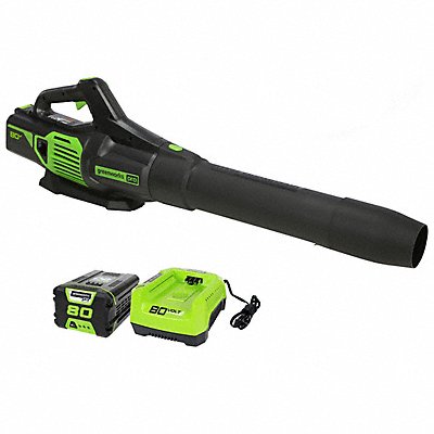 GREENWORKS PRO 2424402VT Cordless Blower