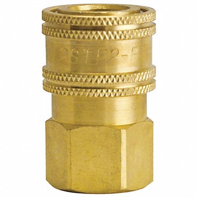 FOSTER 21016 Hose Stem Series 210 1/4 Plugs