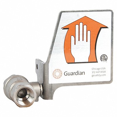 GUARDIAN EQUIPMENT AP620111H Sst 1/2In. Ball Valave with Handle