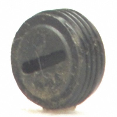 DAYTON 1572002600 Cap Brush PK2