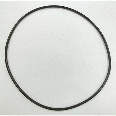 GOULDS WATER TECHNOLOGY 5K73 O-Ring 6 In.