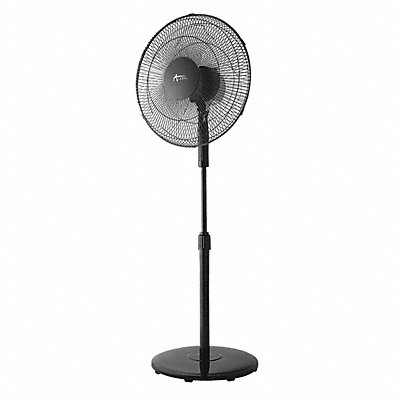 ALERA ALEFANP16B Oscillating Pedestal Fan 16 3-Speed Blk