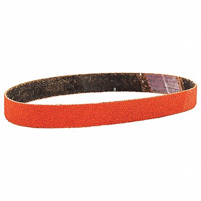 NORTON 66261081180 Sanding Belt 12 in L 1/2 in W PK50