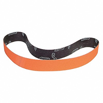 NORTON 63642594485 Sanding Belt 60 in L 4 in W 60G PK10
